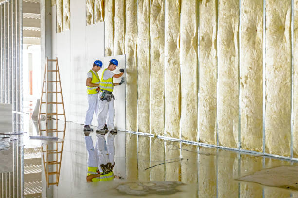 Best Insulation Maintenance and Repair in Helena West Side, MT